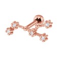Leo Helix Ear Piercing TIP-3575